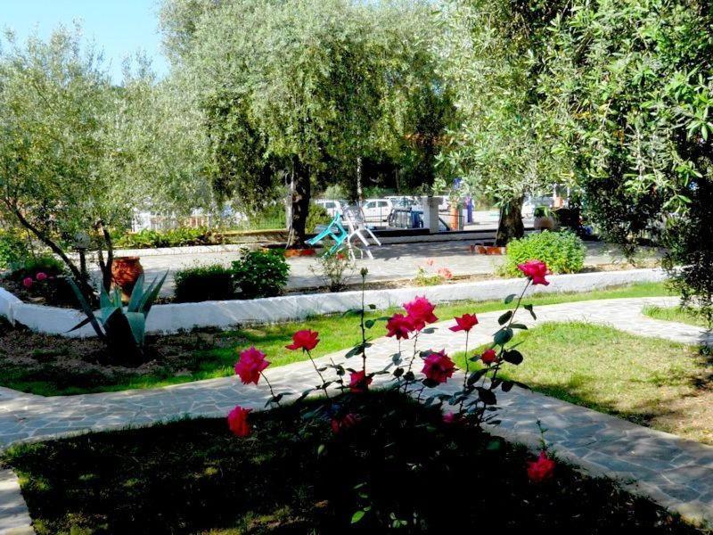 Asterias Studios Астрис Екстериор снимка